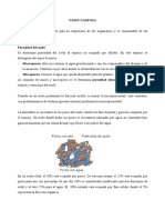 Atmosfera_del_suelo.pdf