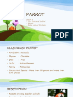 Parrot Group 9