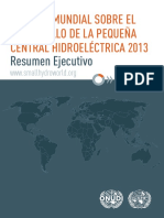 WSHPDR 2013 Executive Summary Spanish