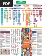 Folder Organograma -SEDESTMIDH