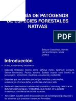 Biologia de Patogenos Forestales