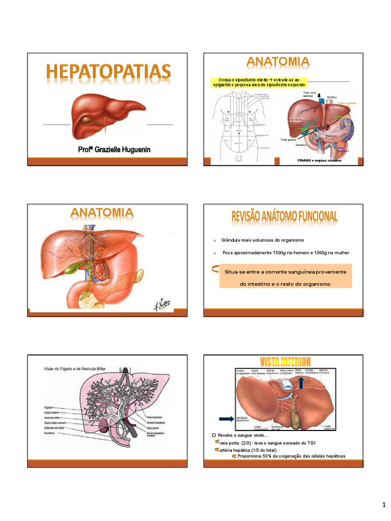 Doenças Hepáticas NCI Cirrose Etanol