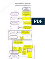 Pathophysiology of Seizures