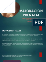 Valoración Prenatal