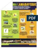 Infografia Comercio- Pool and Fio