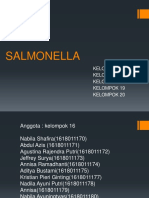 Salmonella - Kel 16-20