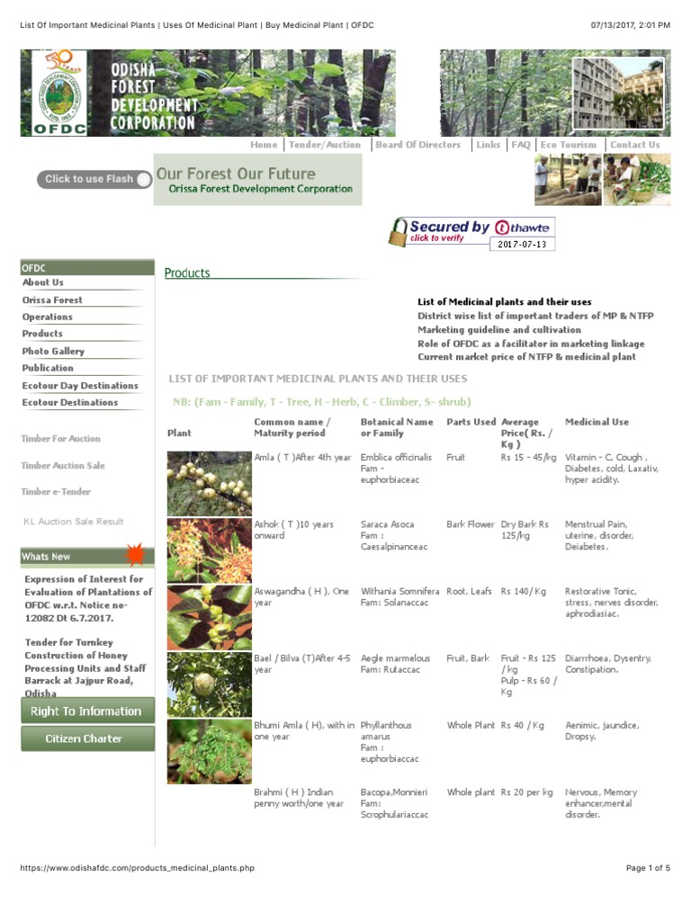 List of Important Medicinal Plants Uses of Medicinal Plant PDF