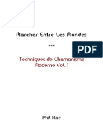 Techniques de Chamanisme Moderne Vol1