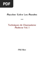 Techniques de Chamanisme Moderne Vol1