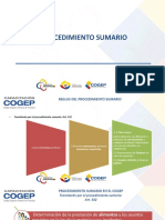 COGEP SUMARIO Y EJECUTIVO.pdf