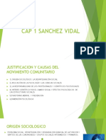 Cap 1 Sanchez Vidal