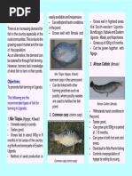 Brochure Fish For Farming