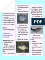 Brochure Fish For Farming