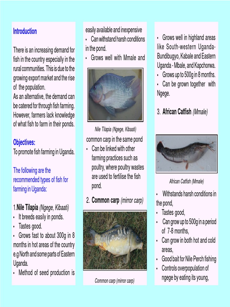 Brochure Fish For Farming Fish Natural Resource Management
