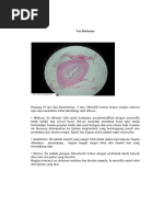 Protein Rekombinan Pdf