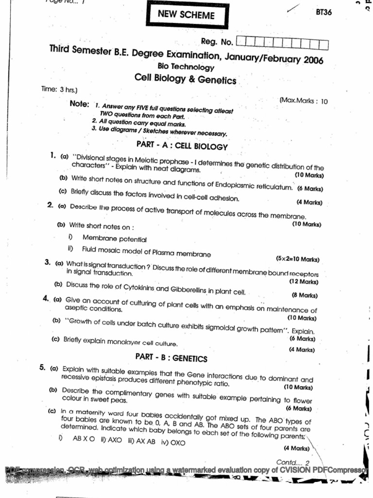 Cell Biology and Genetics Exam Papers | PDF | Cell (Biology) | Genetics