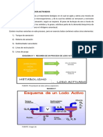 Tratamiento con lodos activados