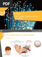 O Ouvido Humano e Os Sons Que Deteta