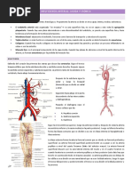 3. Insuficiencia Arterial