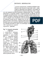 2.Sistemul_respirator.pdf
