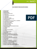 PST para Izaje de Cargas.pdf