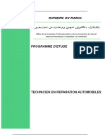 Programme d'étudesTREMoption auto.doc