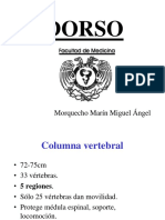 Dorso.pdf