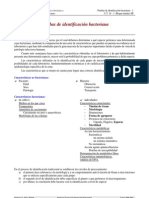 Pruebas de Identificacion Bacteriana 1