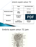 Embrio Ayam 72 Dan 96 Jam