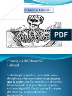 Principios Del Derecho Laboral PDF 5