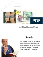 Derecho Laboral Unico y Definitivo......[1] PDF