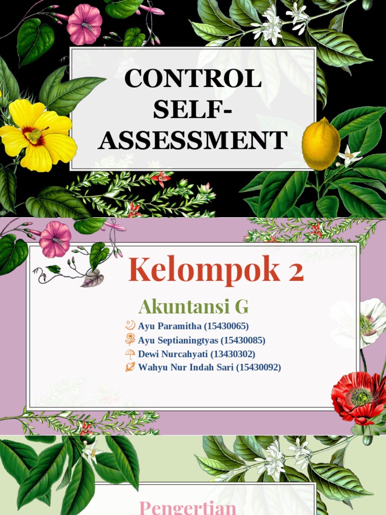 Control Self Assessment Pdf