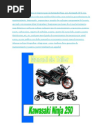 Download Kawasaki GPX 250 - Kawasaki GPZ 250 Ninja by Fabian Fabiann SN366731570 doc pdf