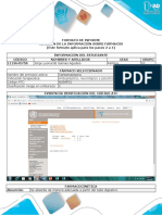 Formato de Informe