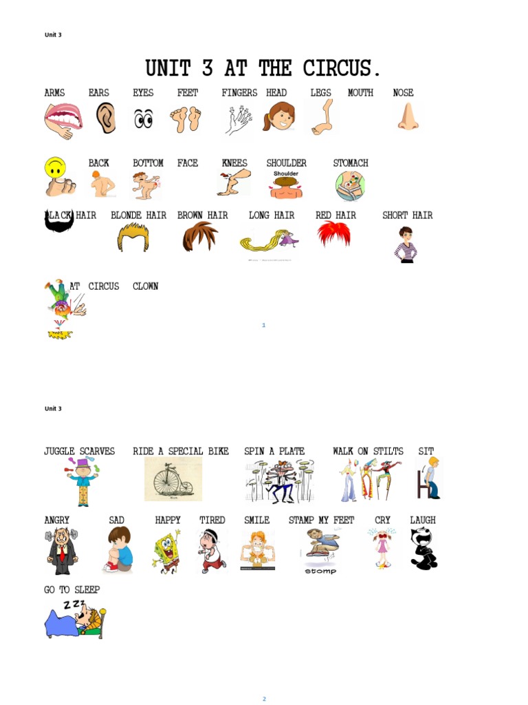 Circus Jobs and Body Parts | PDF