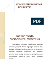 Model Konsep Keperawatan Komunitas