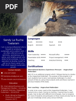 professional cv 