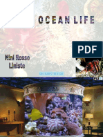 Vita Oceano