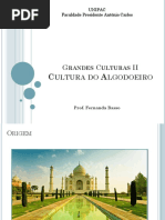 Cultura Do Algodoeiro