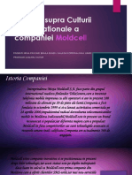 266326222-Raport-asupra-Culturii-Organizationale-a-companiei-Moldcell-pptx.pptx