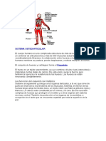 Sistema Osteoarticular