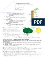 ALIMENTAÇÃO DAS PLANTAS.docx