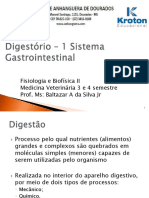 Aula 13 - Sistema Digestorio