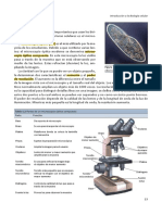 Microscopía