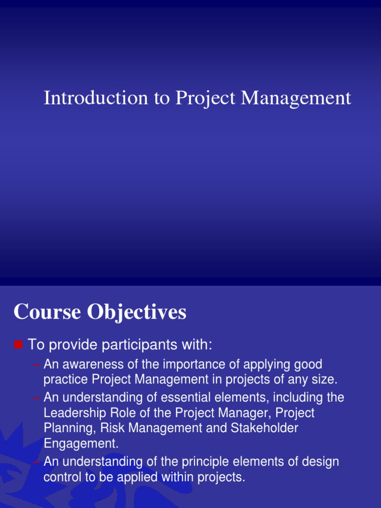 Project Management Essentials Guide | PDF | Risk Management | Project ...