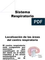 Sistema Respiratorio