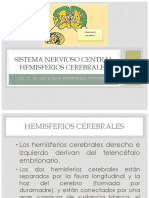 HEMISFERIOS CEREBRALES