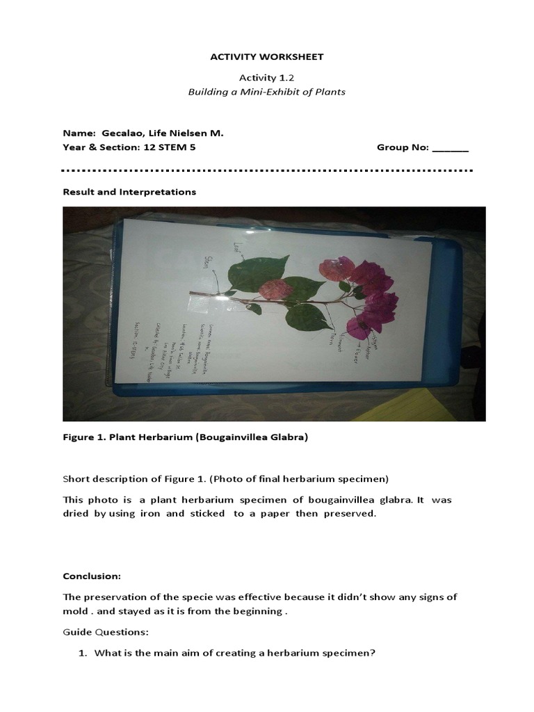 Activity Worksheetcompletev2 | PDF | Home & Garden | Wellness