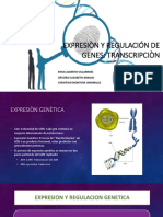 Expresiòn y Regulación de Genes Transcripcion