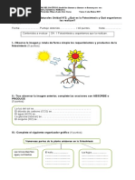 Evaluación 6 Año Fotosíntesis 2017
